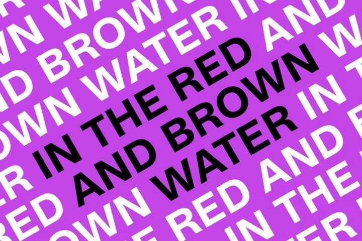 In The Red and Brown Water poster